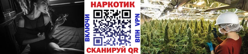 Где продают наркотики Новоржев Псилоцибиновые грибы  СОЛЬ  Марихуана  COCAIN 