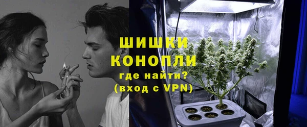 спайс Каменка