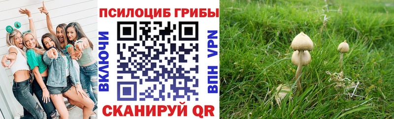 Псилоцибиновые грибы Psilocybine cubensis  Новоржев 